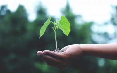 Maak uw huis zo energiezuinig mogelijk met deze tips!