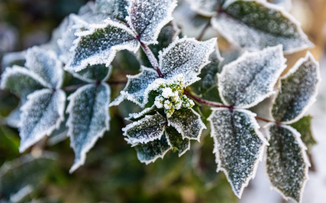 Zijn uw kozijnen klaar voor de winter?